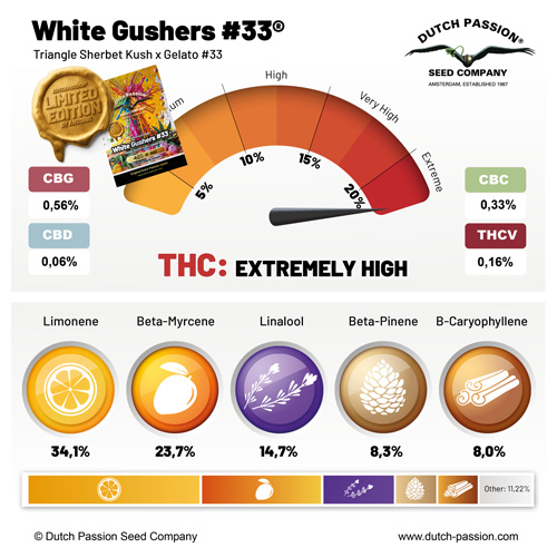 white gushers terpene profile